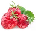 Appetizing strawberry. Royalty Free Stock Photo