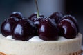 Appetizing tartlet with cherry close up.