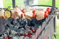 Appetizing tasty shish kebab on skewers Royalty Free Stock Photo