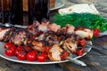 Appetizing tasty shish kebab with vegetables on skewers Royalty Free Stock Photo