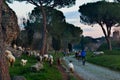 Appia antica foreshortenig with people and animals