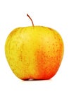 Apple Royalty Free Stock Photo