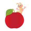 Red apple and pink worm.