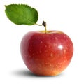 Apple Royalty Free Stock Photo