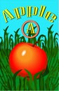 apple ABC hornbook alphabet Children's