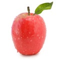 Apple Royalty Free Stock Photo