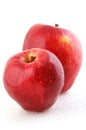 Apple Royalty Free Stock Photo