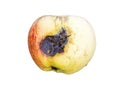 Apple is affected by fungus and mold. Disease scab, a lousy rotten Apple.