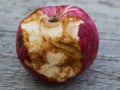 Crop of apples ruined by diseases of fruit trees. Apple is affected by fungus and mold. Disease scab, a lousy rotten Apple.