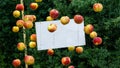 Fresh apples arrangement around of a white board