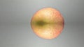 Apple artfully edited with intentional distortions and anomalies