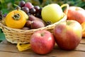 Apple and autumn fruits in a basket Royalty Free Stock Photo