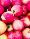 Apple background of fresh natural red organic apples close up. Autumn, picking apples, Vitamins concept Royalty Free Stock Photo