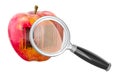 Apple with barcode label under magnifying glass, loupe. 3D rendering Royalty Free Stock Photo