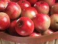 apple basket close-up 3d illustration