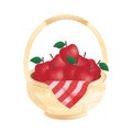apple in basket illustration picnic item