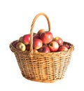 Apple basket Royalty Free Stock Photo