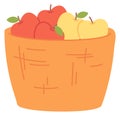 Apple basket. Ripe natural fruit harvest icon