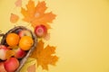 Apple in basket and two mandarins on yellow background with autumn leaves. composition and concept of autumn