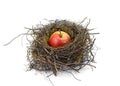 Apple in a Bird Nest with isilated on white background.