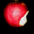 The apple bite symbolism of sin