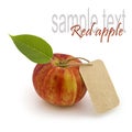 Apple with blank price tag Royalty Free Stock Photo