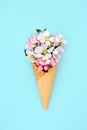 Apple Blossom Ice Cream Cone Abstract Concept Royalty Free Stock Photo