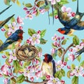 Apple blossom and swallows.