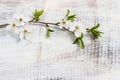 Apple blossom on wooden background