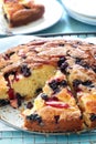 Apple and Blueberry Cake Royalty Free Stock Photo