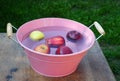 Apple bobbing Royalty Free Stock Photo