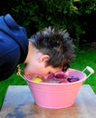 Apple bobbing Royalty Free Stock Photo