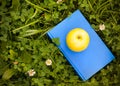 Apple on book on grass. Education concept, back to school.