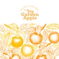 Apple branch design template. Hand drawn vector garden fruit illustration. Engraved style fruit retro botanical banner