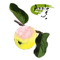 Apple on a branch with leaves, stylization of a watercolor