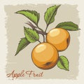 Apple branch retro emblem