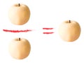 Apple calculation - vector illutration