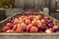 Apple cart in New Hampshire