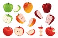 Apple. Cartoon half full and quarter of fruit with worm. Orchard vegetarian food collection. Ripe juicy vitamin plants for healthy Royalty Free Stock Photo