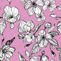 Apple or cherry blossom seamless pattern. Hand painted ink illustration with spring flowers on pink textured background. Royalty Free Stock Photo