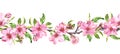 Apple, cherry pink flowers. Seamless floral stripe frame. Botanical watercolour painted border Royalty Free Stock Photo