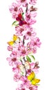 Apple, cherry pink flowers, spring butterflies. Seamless floral stripe frame. Botanical watercolour painted border