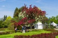 Apple and cherry trees at Montreal Botanical Garden