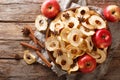 Apple chips with cinnamon and star anise close-up on a plate. Horizontal top view Royalty Free Stock Photo