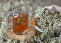 Yarrow. Herbal tea using dried yarrow flowers in a glass on a wooden background Royalty Free Stock Photo