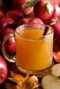 Apple cider Royalty Free Stock Photo