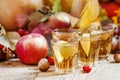 Apple cider in the autumn background, selective focus Royalty Free Stock Photo