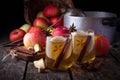 Apple cider with cinnamon Royalty Free Stock Photo