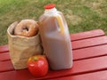 Apple cider and donuts Royalty Free Stock Photo