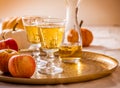 Apple cider with fresh apples and pumpkins for Thanksgiving Royalty Free Stock Photo